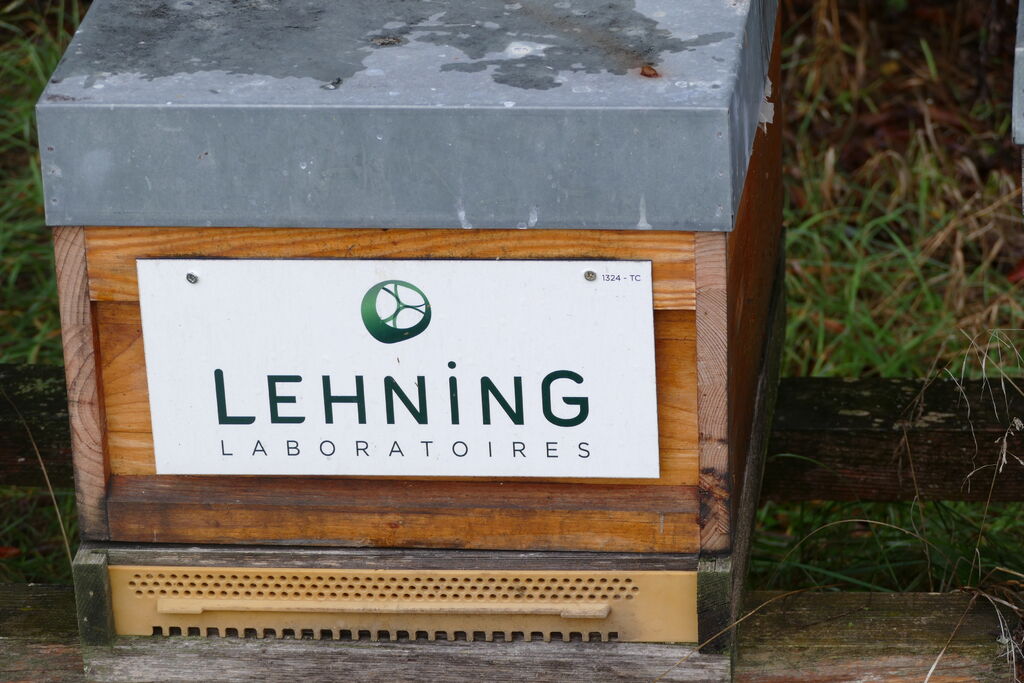 La ruche LABORATOIRES LEHNING