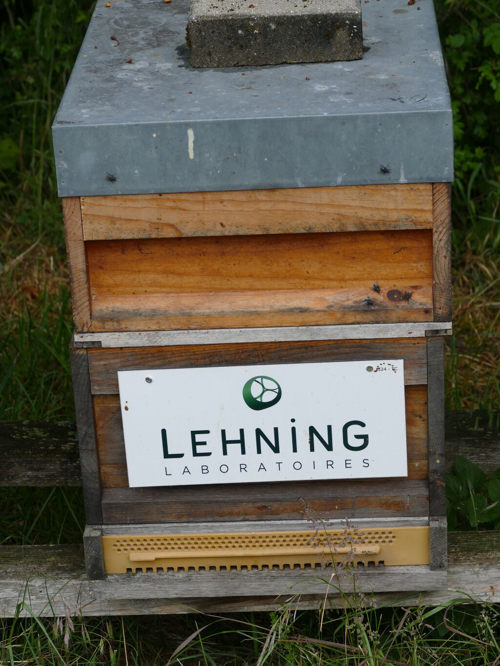 La ruche LABORATOIRES LEHNING 