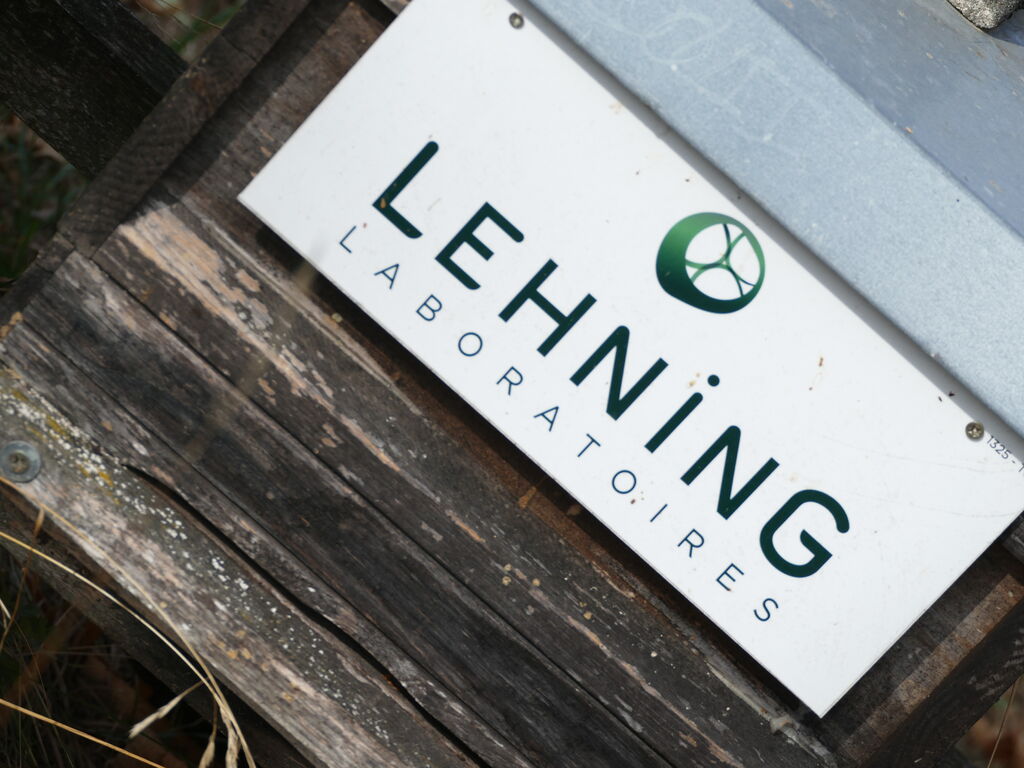La ruche LABORATOIRES LEHNING