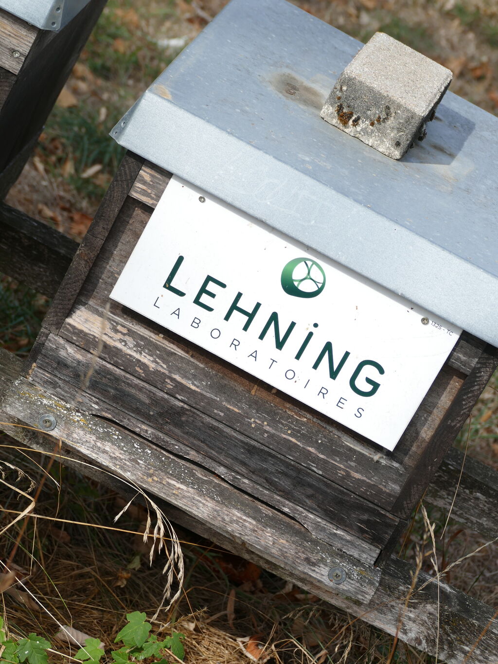 La ruche LABORATOIRES LEHNING