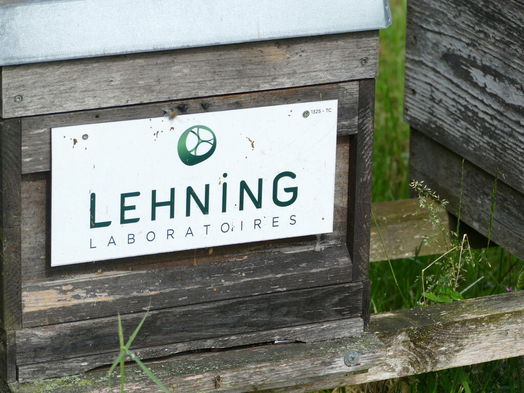 La ruche LABORATOIRES LEHNING 