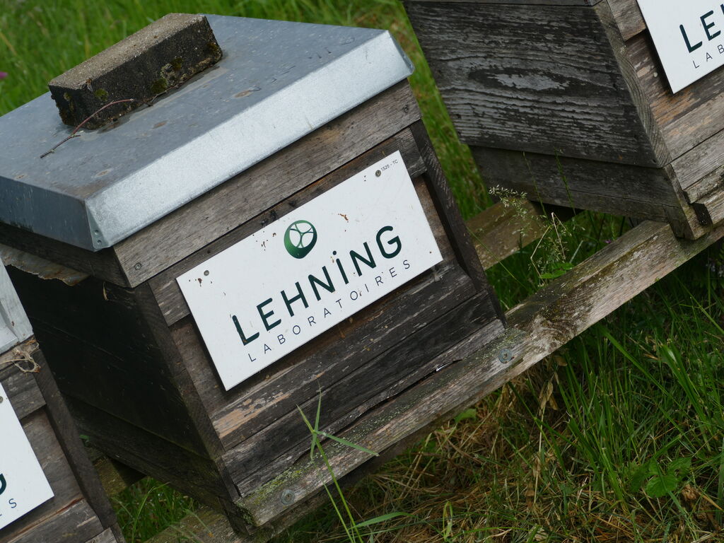 La ruche LABORATOIRES LEHNING 