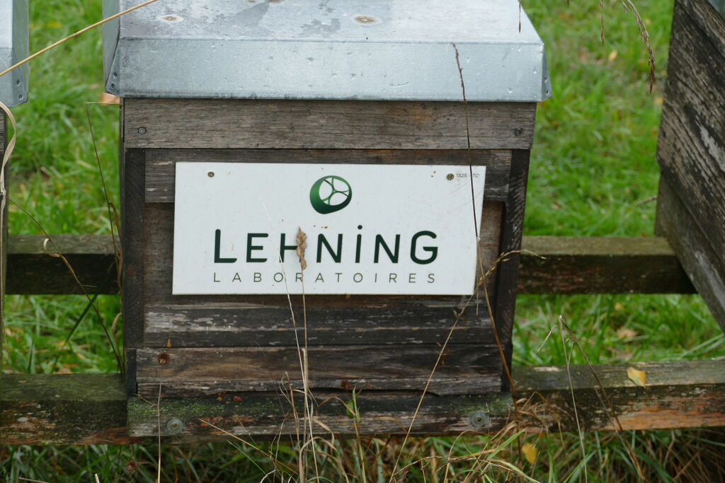La ruche LABORATOIRES LEHNING