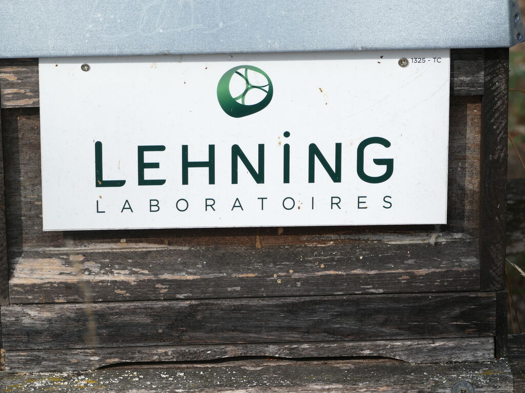 La ruche LABORATOIRES LEHNING