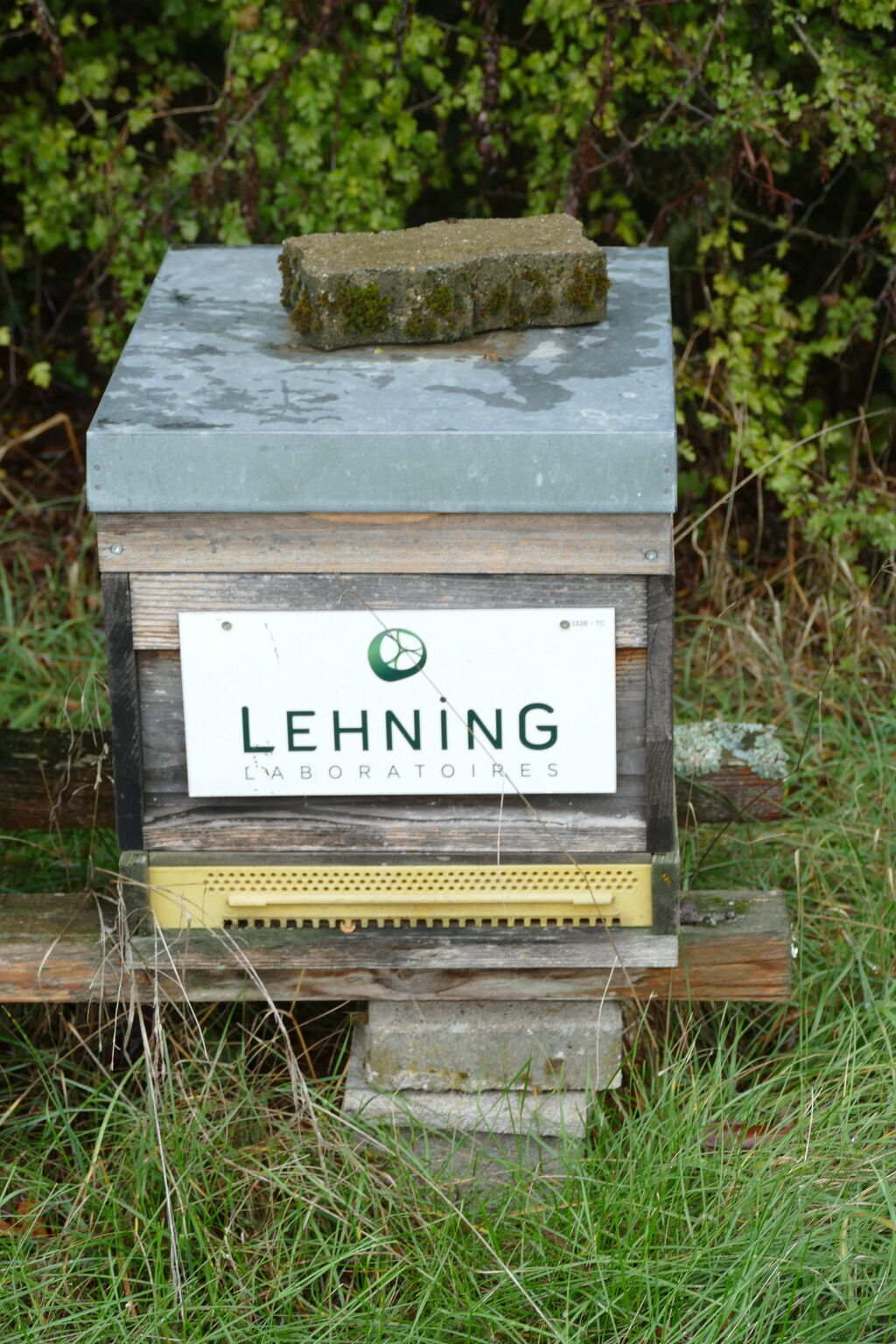 La ruche LABORATOIRES LEHNING