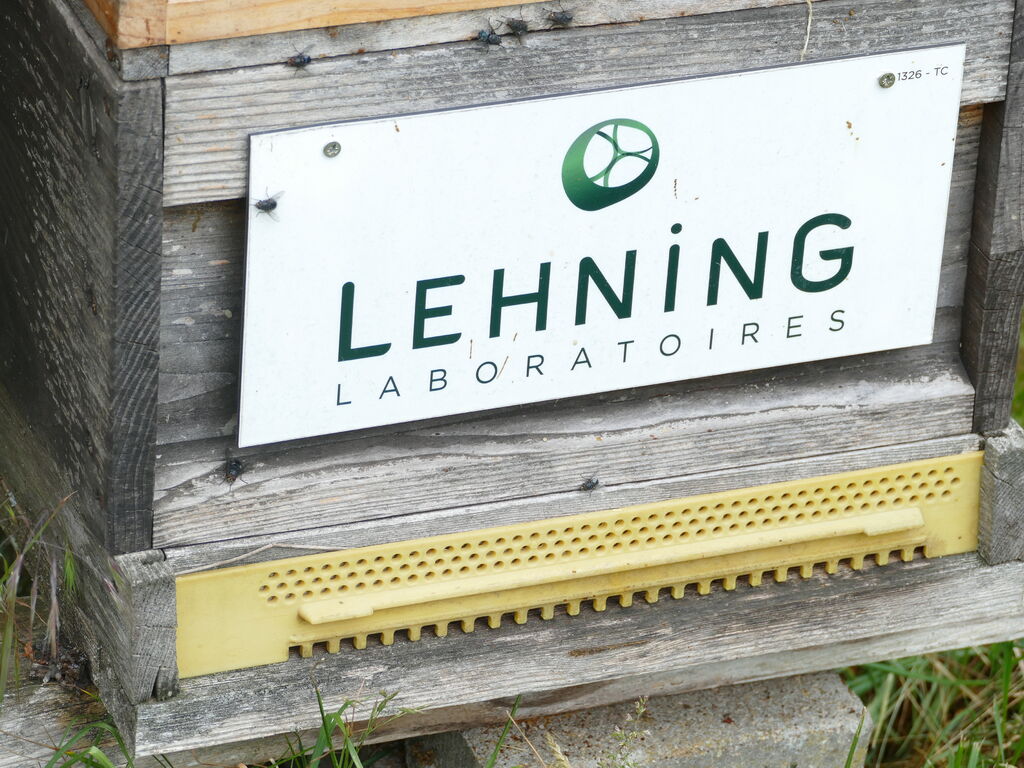 La ruche LABORATOIRES LEHNING 