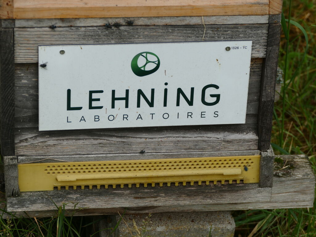 La ruche LABORATOIRES LEHNING 