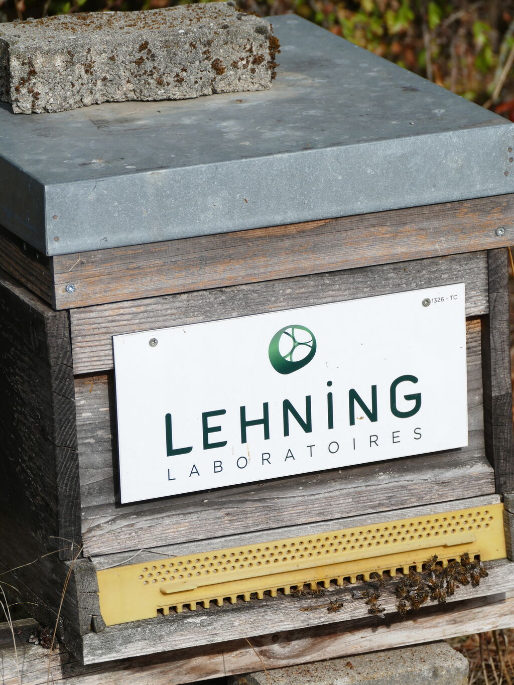 La ruche LABORATOIRES LEHNING