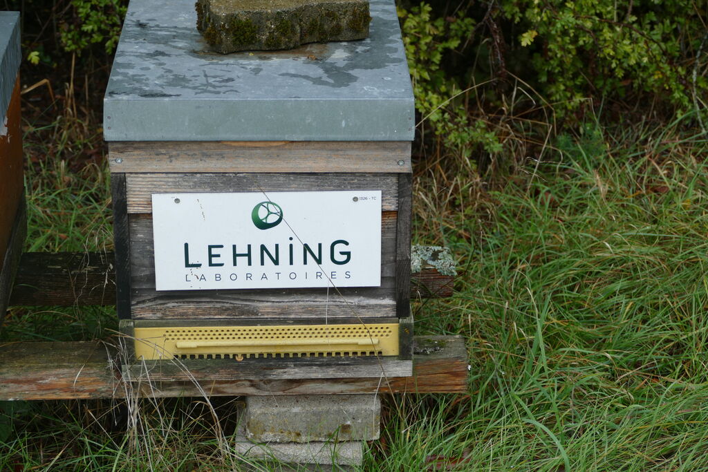 La ruche LABORATOIRES LEHNING