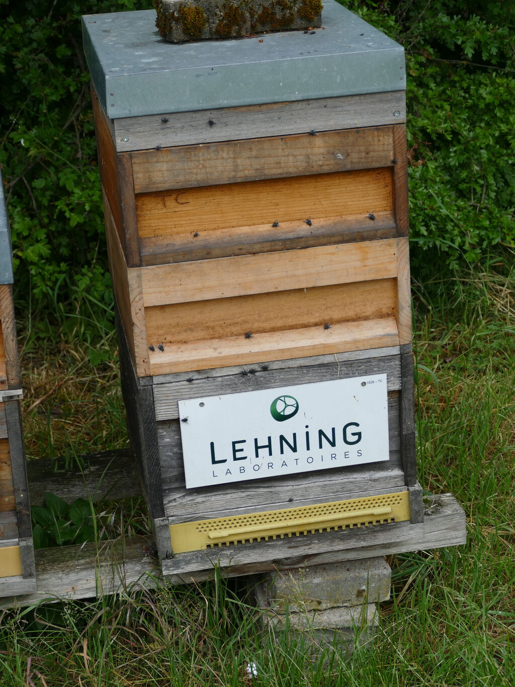 La ruche LABORATOIRES LEHNING 