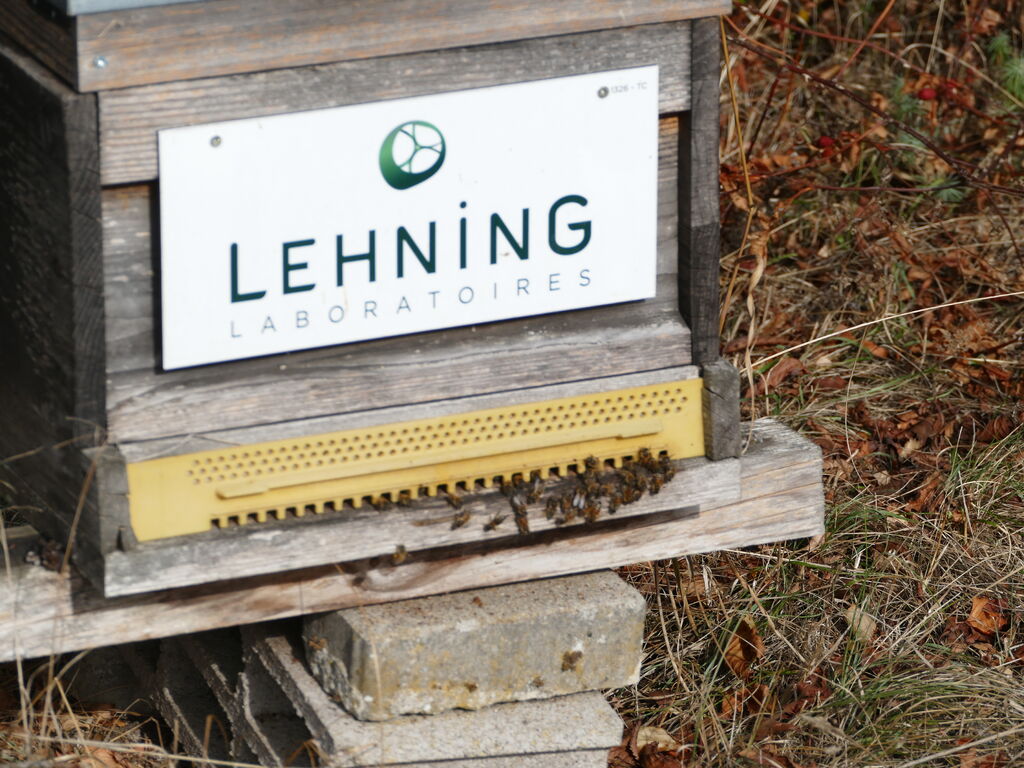 La ruche LABORATOIRES LEHNING