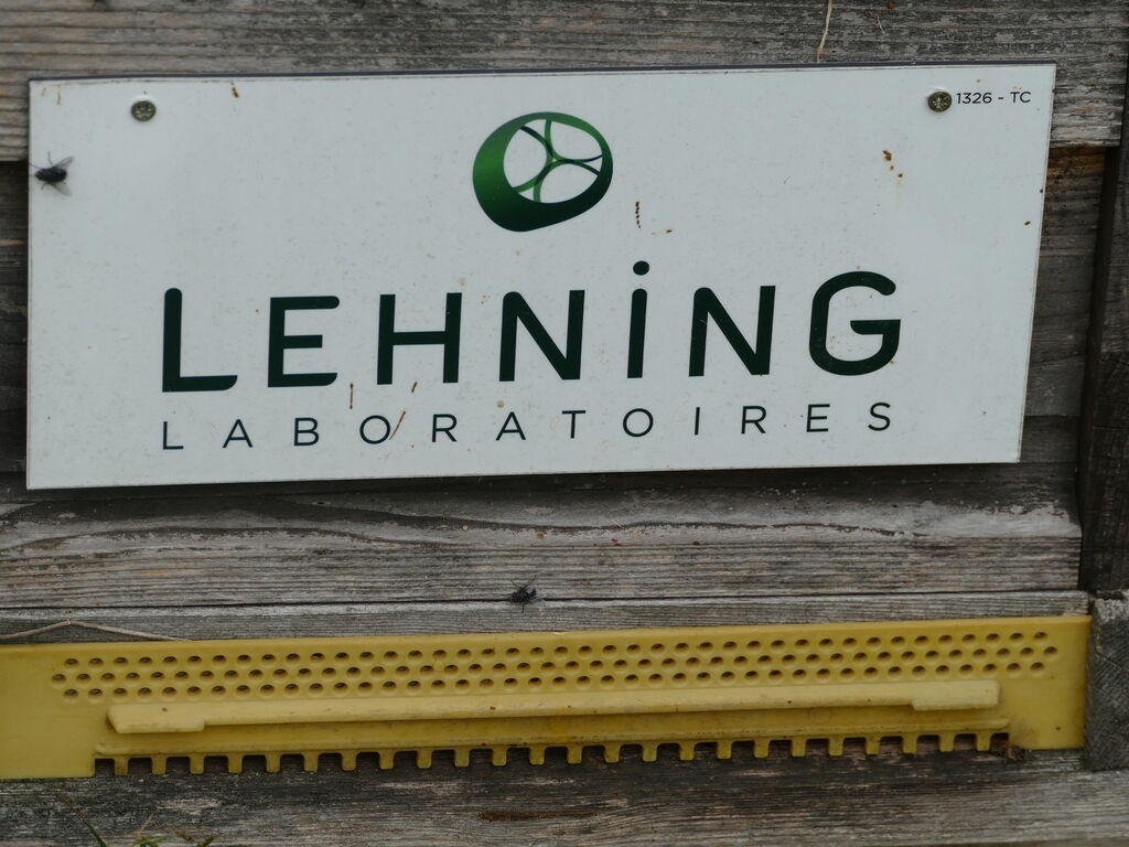 La ruche LABORATOIRES LEHNING 