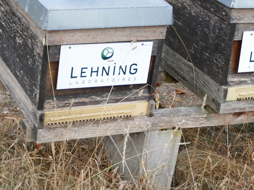 La ruche LABORATOIRES LEHNING