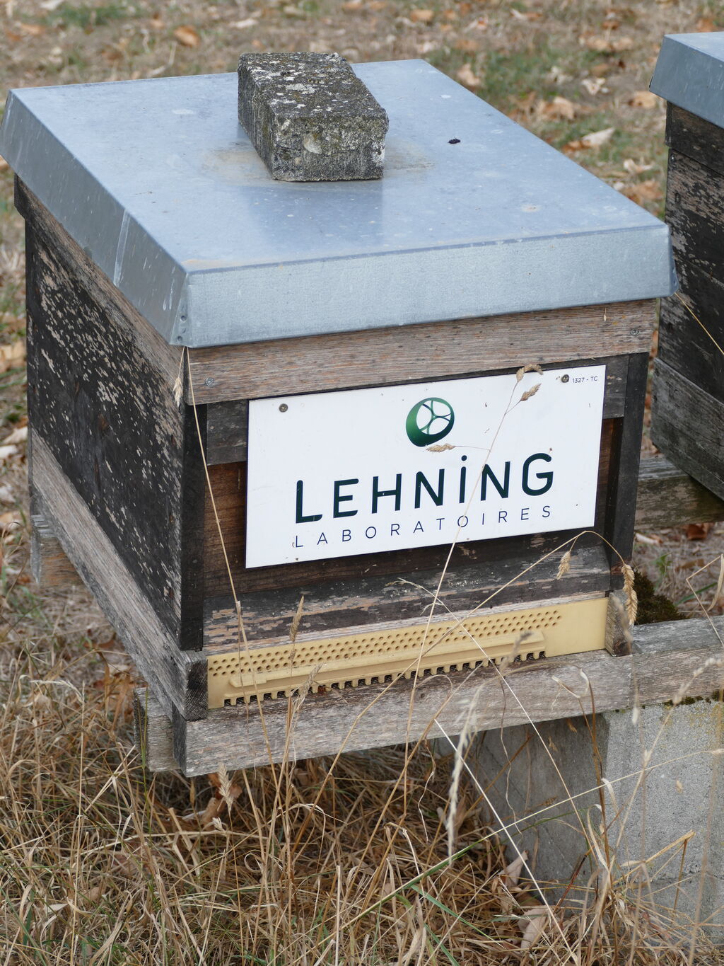 La ruche LABORATOIRES LEHNING