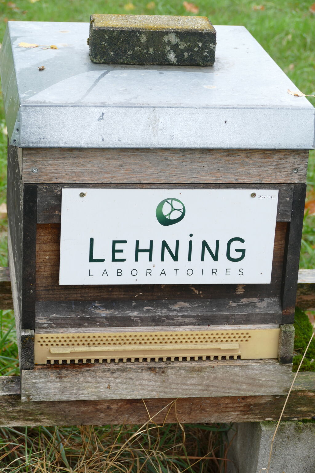 La ruche LABORATOIRES LEHNING
