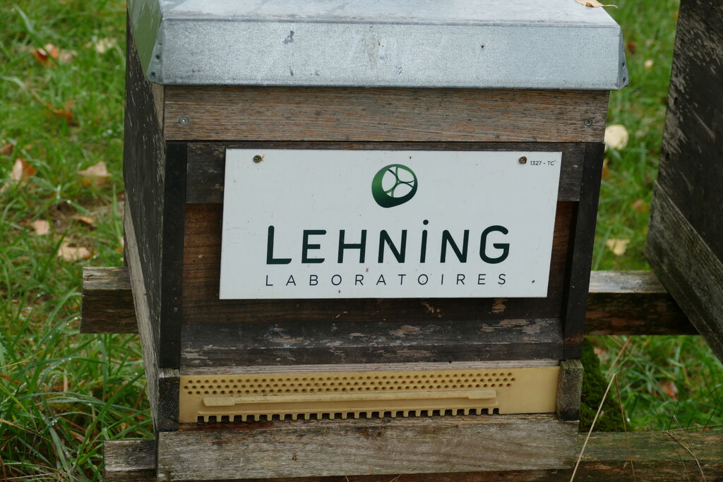 La ruche LABORATOIRES LEHNING
