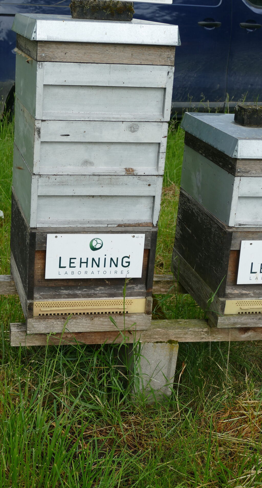 La ruche LABORATOIRES LEHNING 