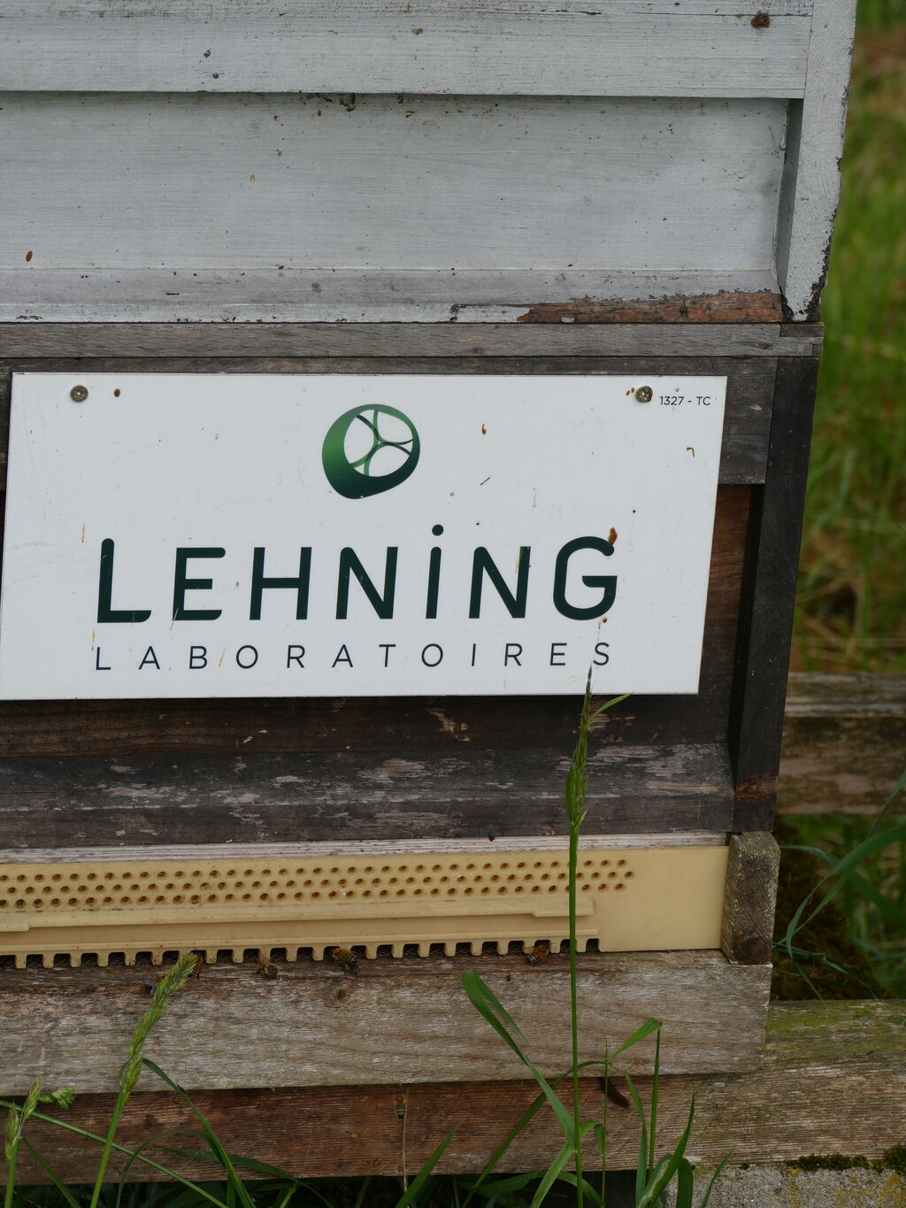 La ruche LABORATOIRES LEHNING 