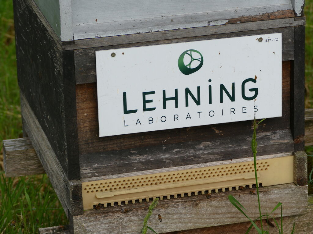 La ruche LABORATOIRES LEHNING 