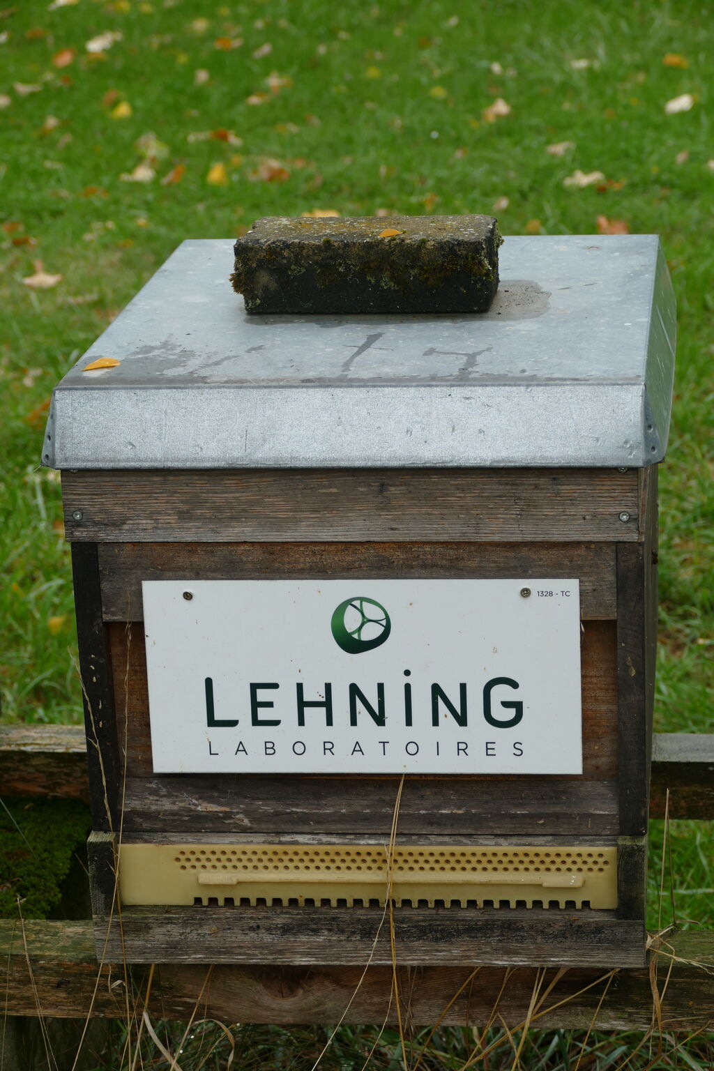 La ruche LABORATOIRES LEHNING