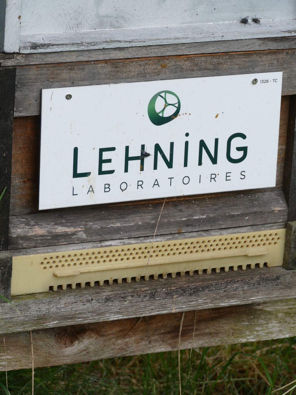 La ruche LABORATOIRES LEHNING 
