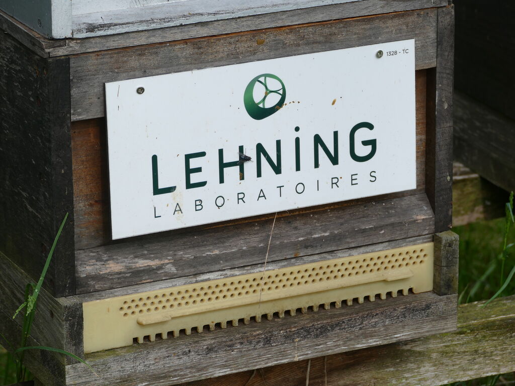 La ruche LABORATOIRES LEHNING 