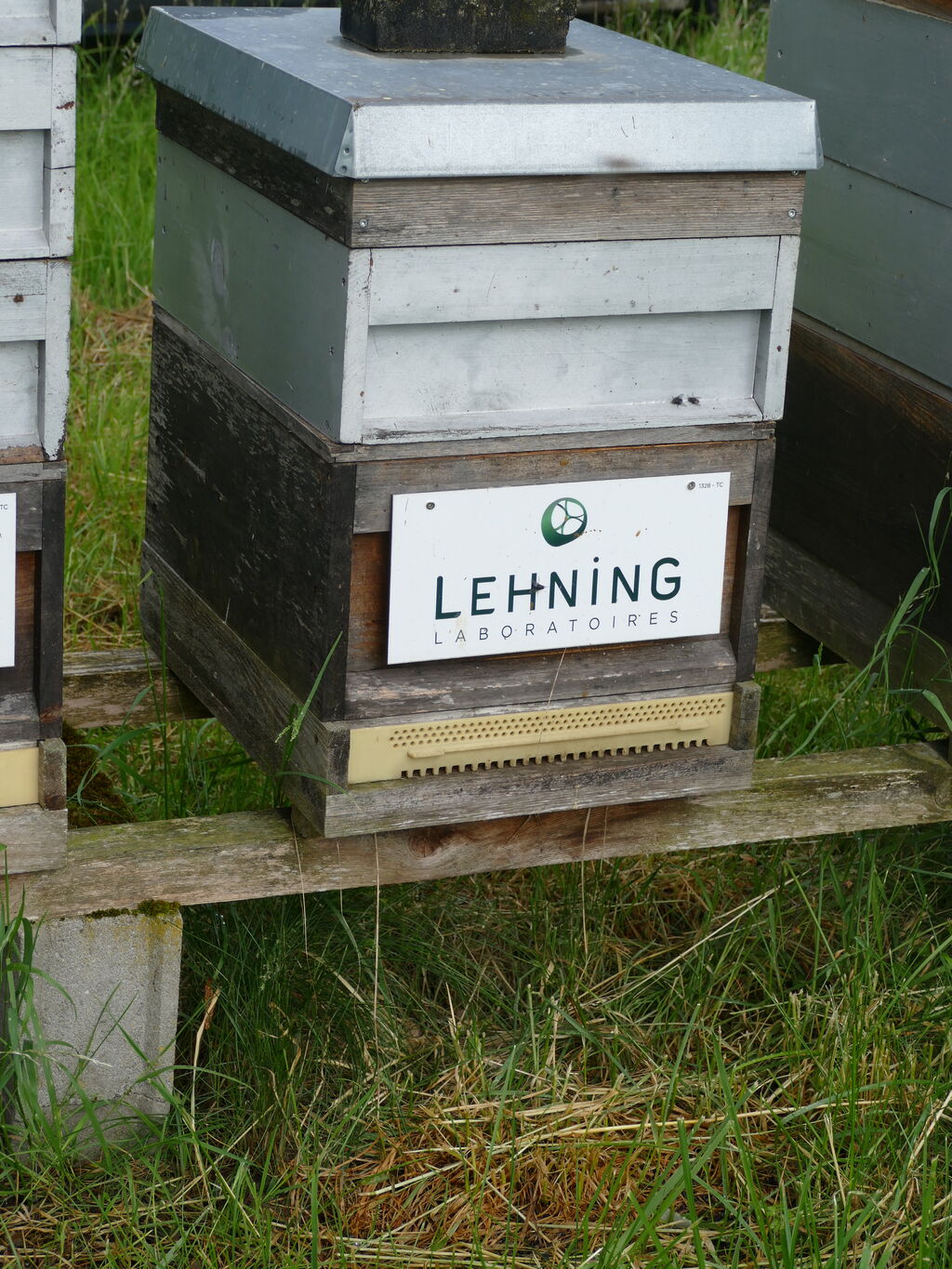 La ruche LABORATOIRES LEHNING 