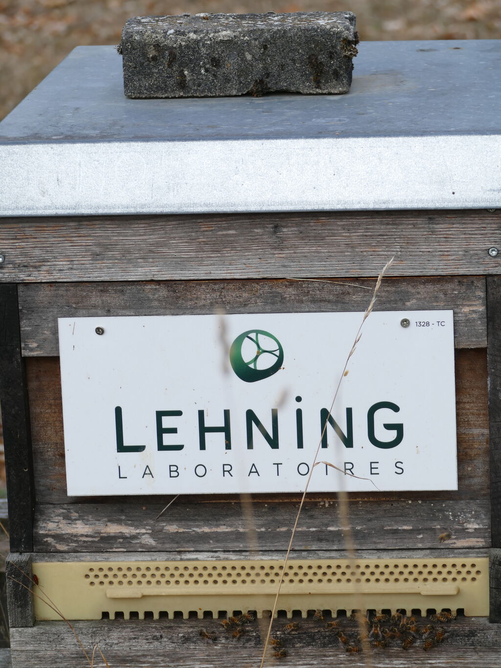 La ruche LABORATOIRES LEHNING