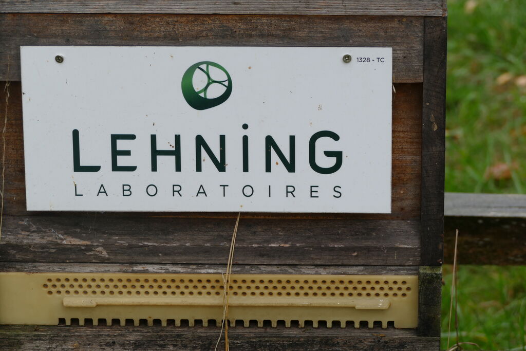 La ruche LABORATOIRES LEHNING