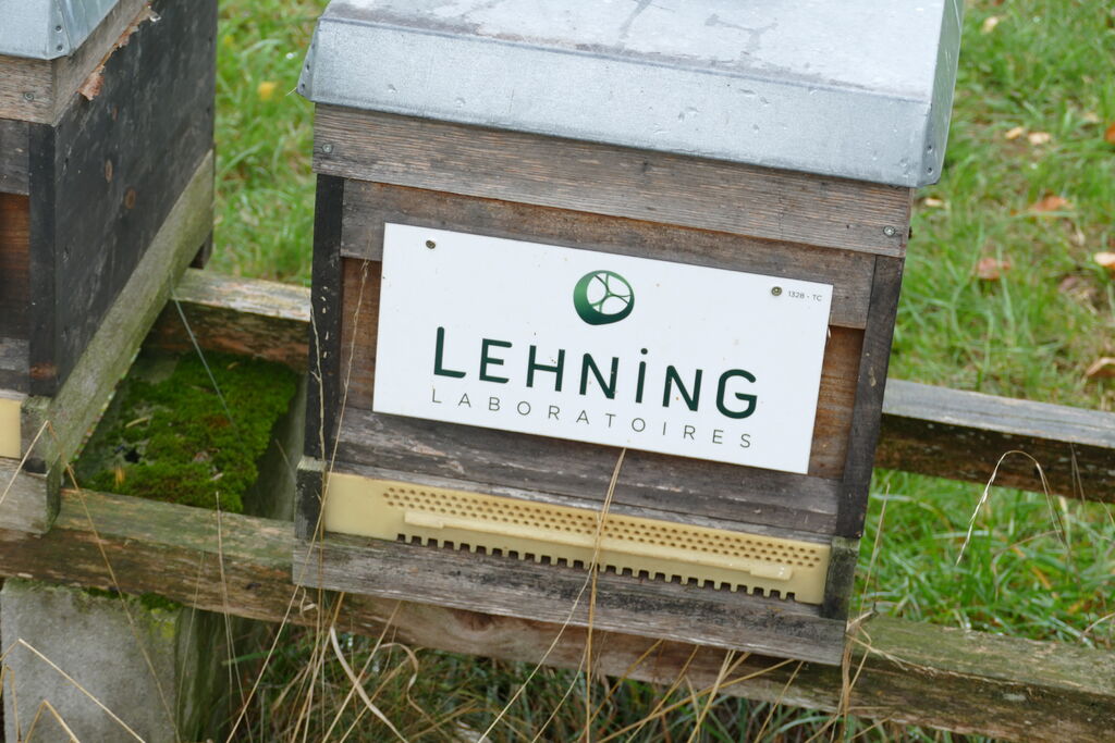 La ruche LABORATOIRES LEHNING
