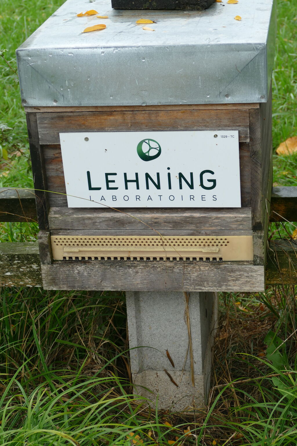 La ruche LABORATOIRES LEHNING