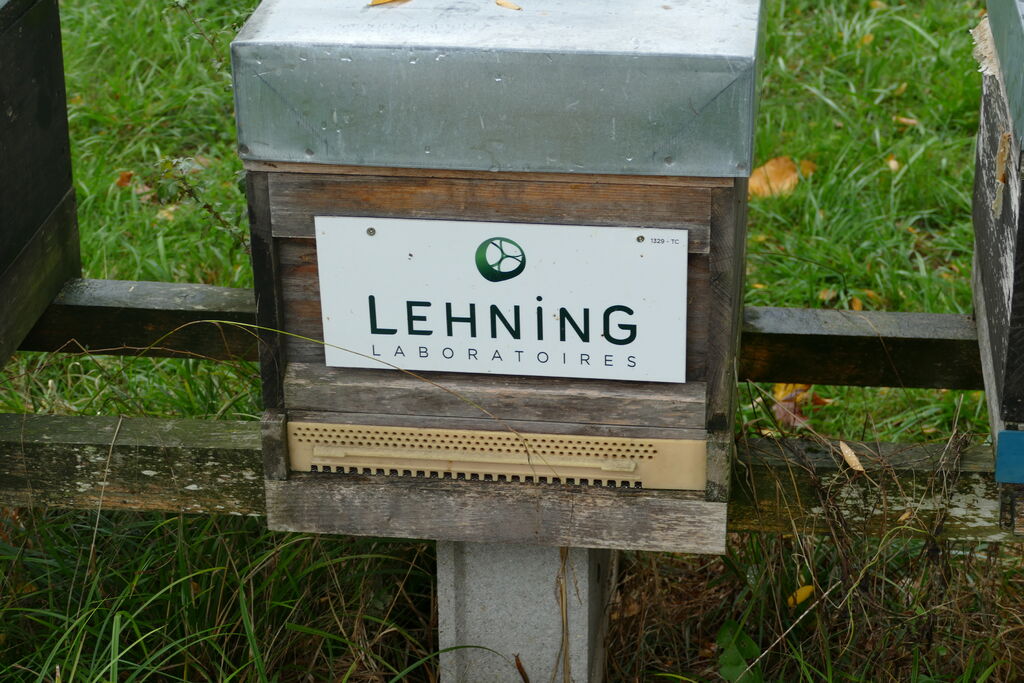 La ruche LABORATOIRES LEHNING