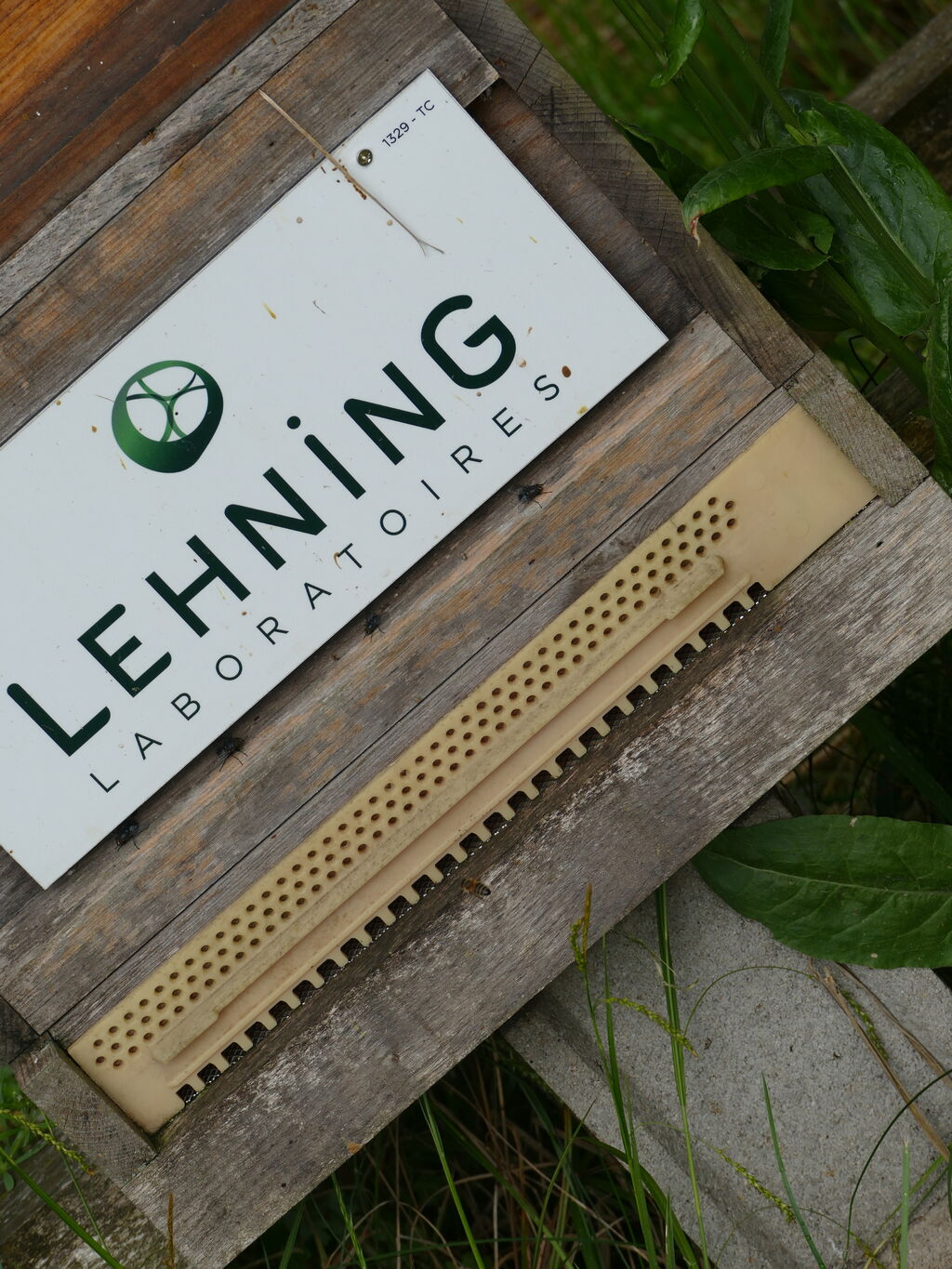 La ruche LABORATOIRES LEHNING 