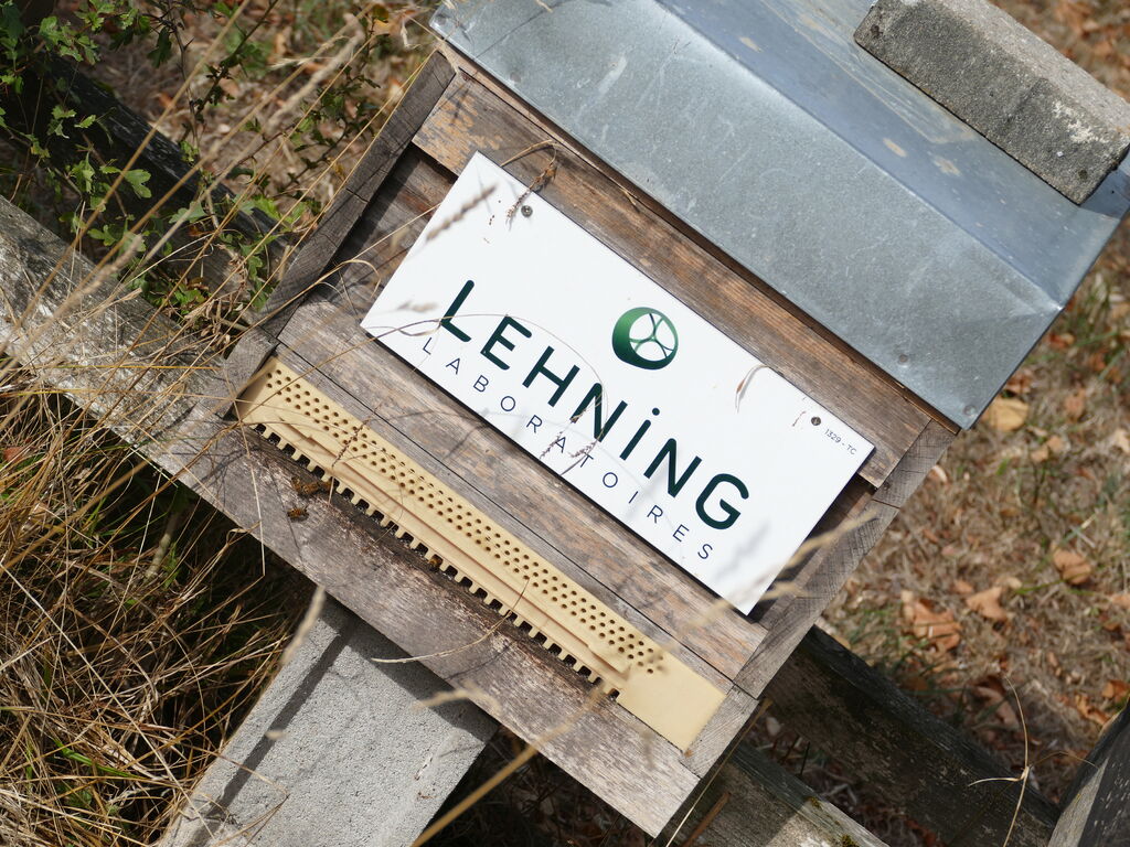 La ruche LABORATOIRES LEHNING