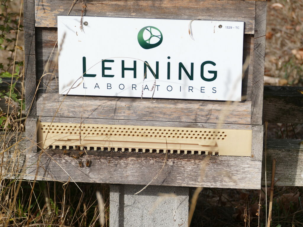 La ruche LABORATOIRES LEHNING