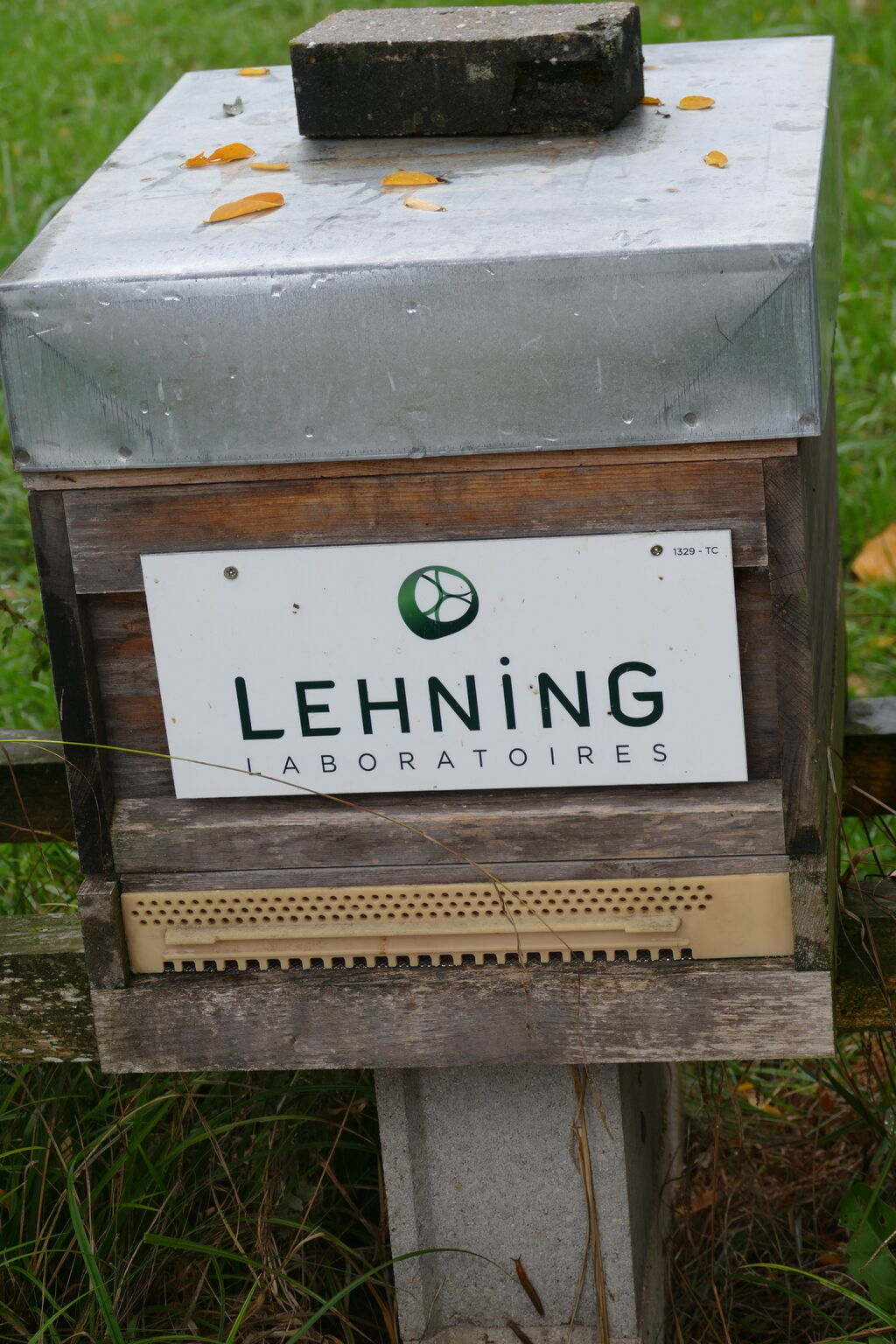 La ruche LABORATOIRES LEHNING