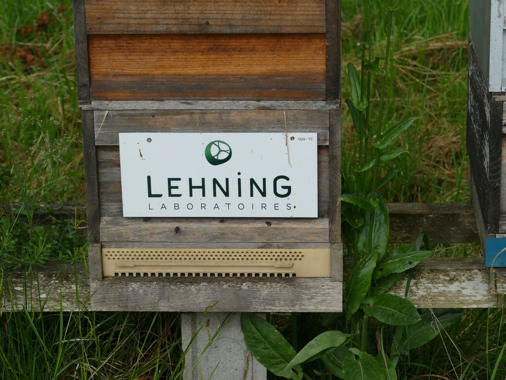 La ruche LABORATOIRES LEHNING 