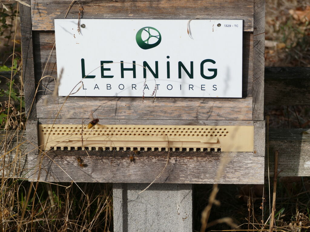 La ruche LABORATOIRES LEHNING