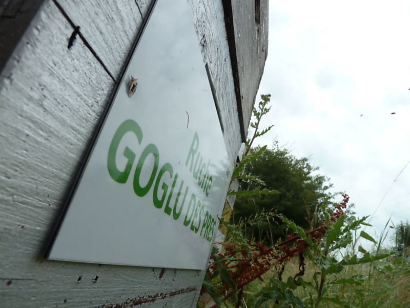 La ruche Goglu des prés