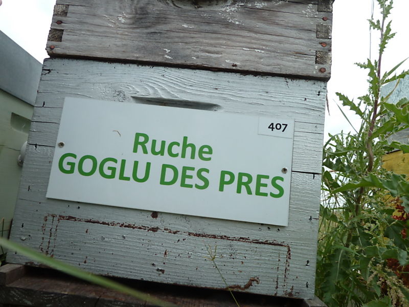 La ruche Goglu des prés