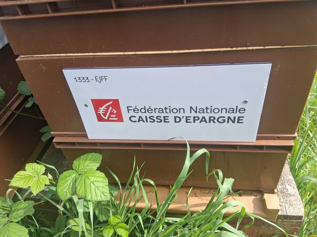 La ruche Fédération Caisse Epargne