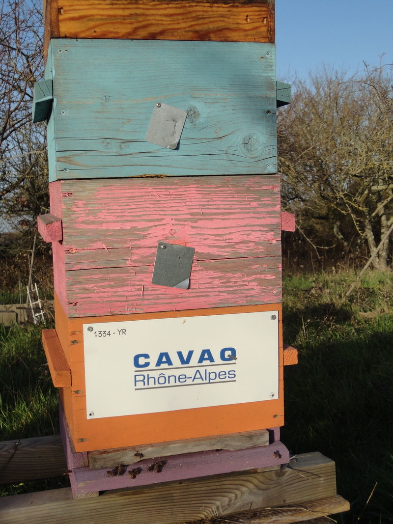 La ruche CAVAQ RHONE ALPES
