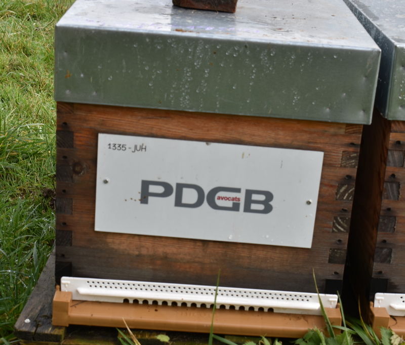 La ruche PDGB Avocats