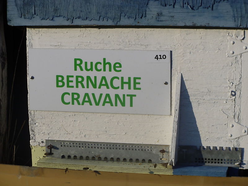 La ruche