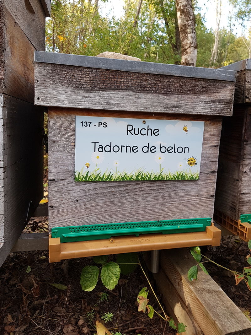 La ruche