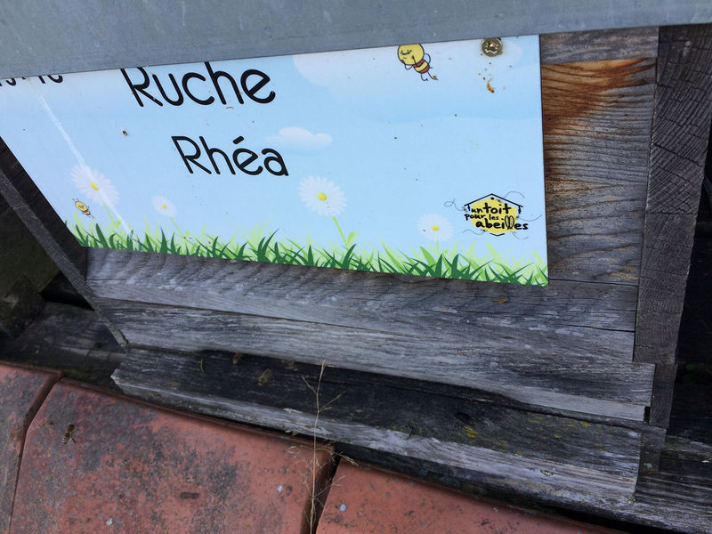 La ruche Rhéa