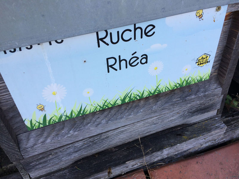 La ruche Rhéa