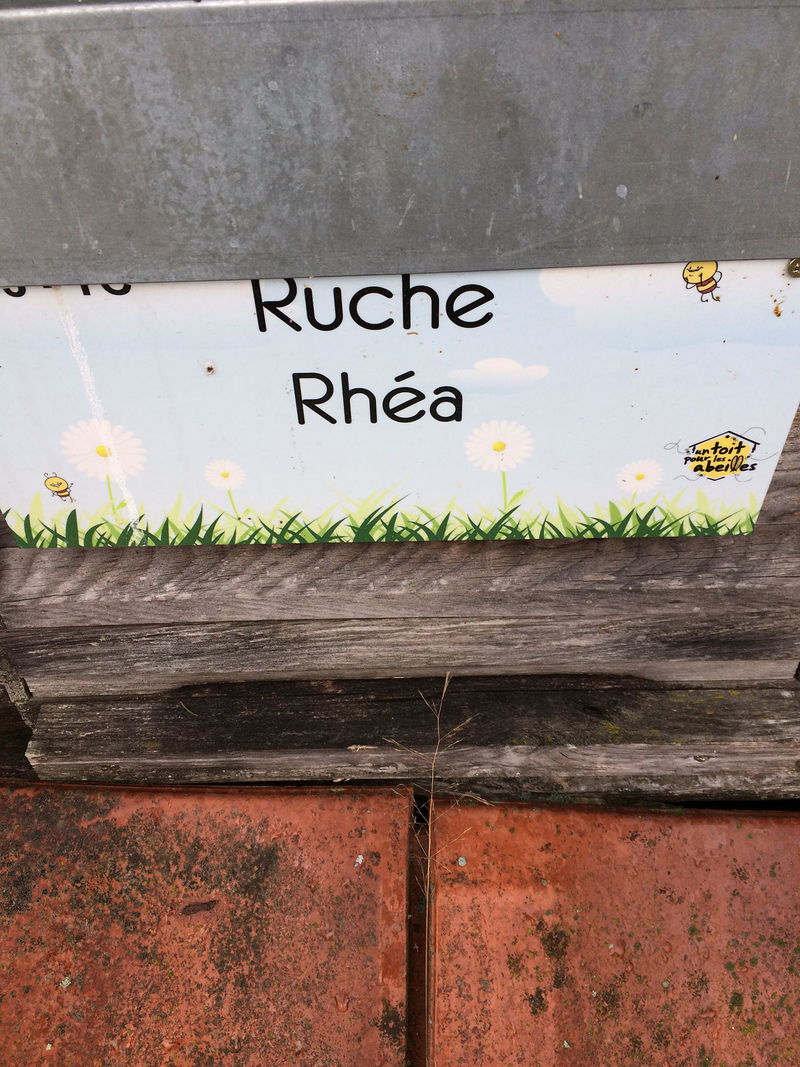 La ruche Rhéa