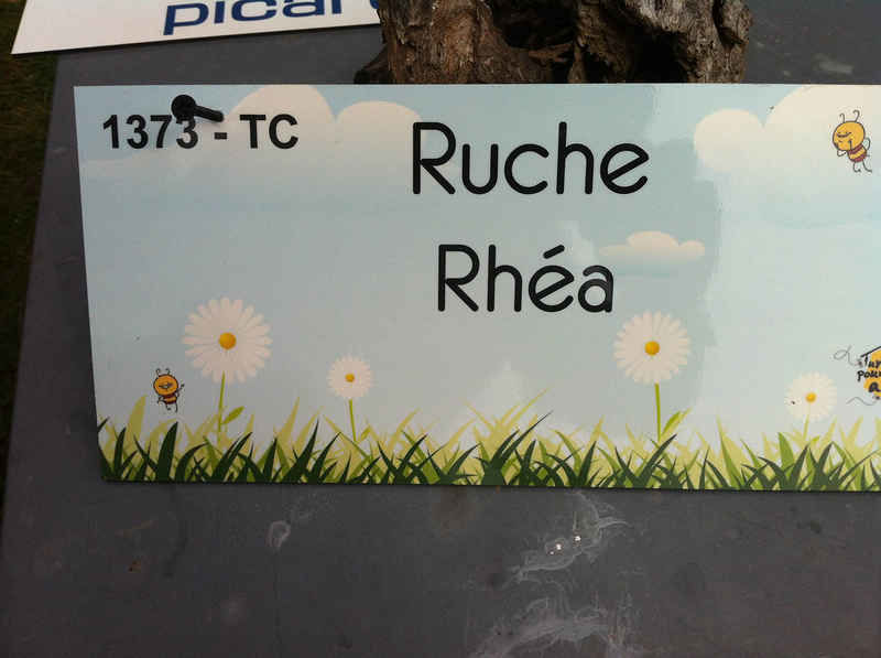 La ruche Rhéa