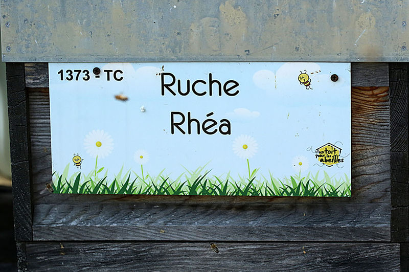 La ruche Rhéa